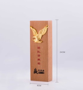 Cina Prodotto di Blocco di Legno Targa di Legno di Cristallo Chimerism Artigianato Trofeo - Product Image 2