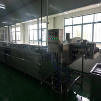 TEK Industriële Kleine Blancheringsmachine voor Zeevruchten, Fruit, Groenten, Garnalen, Zeevruchten Blancheren, Drogen, Productielijn