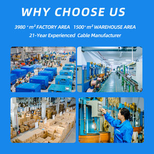 <span class=keywords><strong>Cable</strong></span> Ethernet UTP Cat6 SIPU <span class=keywords><strong>de</strong></span> 305m, <span class=keywords><strong>Cable</strong></span> <span class=keywords><strong>de</strong></span> <span class=keywords><strong>Internet</strong></span> <span class=keywords><strong>de</strong></span> Alta Velocidad <span class=keywords><strong>para</strong></span> Laptop, Computadora <span class=keywords><strong>de</strong></span> Escritorio, PS5, <span class=keywords><strong>Xbox</strong></span> - Product Image 2