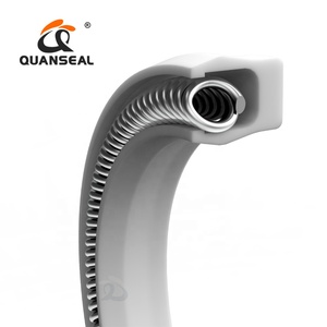 Quanseal Ressort PTFE Joint <span class=keywords><strong>CSS</strong></span> 1-1900 - Product Image 1