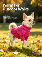 Pull en tricot torsadé à col roulé pour chien, pull doux et chaud pour animaux de compagnie, vêtements d'hiver pour chiots de petite taille, Yorkie, Chihuahua