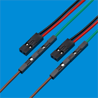Kabel Konektor Harness Mobil DuPont Pitch 2.54mm 2 Pin Male ke Female