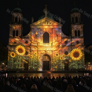 Solution de cartographie laser de façade, LED étanche IP65 pour bâtiments historiques, places de ville, centres de villégiature, musées, programmes de festivals culturels - Product Image 3