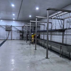 Sistema de Matadero Automático para Aves de Corral, Línea de Deshuesado de Pollos, Patos, Gansos y Aves de Engorde, Equipo de Sacrificio y Procesamiento - Product Image 5