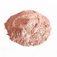 Peinture conductrice de cuivre en poudre de cuivre revêtue d'argent de haute qualité Livraison rapide