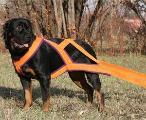 Tali kekang anjing nilon mewah untuk anjing sedang hingga besar tali latihan timbangan kekuatan Musim Dingin harnes anjing - Product Image 2