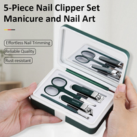 Ensemble de coupe-ongles en acier inoxydable, 5 pièces, Kit professionnel de manucure et pédicure, outils de toilettage pour la maison et les voyages