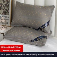 Ensembles de coussins de luxe et sains en gros – Oreillers confortables pour hôtels et maisons d'hôtes – Oreillers de haute qualité avec noyau en dentelle pour hôtels