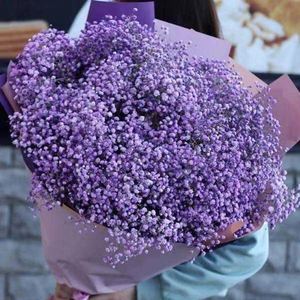 ดอกยิปโซฟิลลาแห้งแบบธรรมชาติ กิ่งดอกยิปโซฟิลลาสัมผัสเหมือนจริง สำหรับตกแต่งงานแต่งงาน - Product Image 6