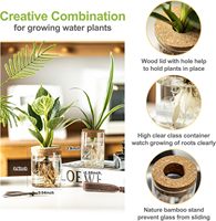Vase en verre borosilicate avec couvercle en liège, vases hydroponiques pour boutures de plantes, arrangements floraux, décoration pour la maison et le bureau
