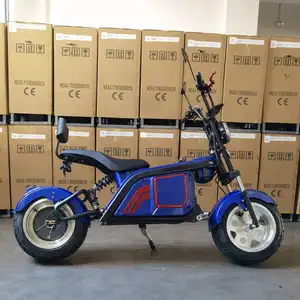 सबसे अच्छा गुणवत्ता 1000W 60V चीन छोटे इलेक्ट्रिक स्कूटर वसा टायर Citycoco