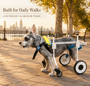 Silla de Ruedas Ajustable de Aluminio para Perros, Carrito de Movilidad de Cuatro Ruedas para Perros - Product Image 4