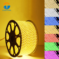 Projet d'ingénierie de bâtiment décoration extérieure étanche Flexible IP65 DC220V 100 mètres de haut Lumen SMD 5050 Les bandes lumineuses