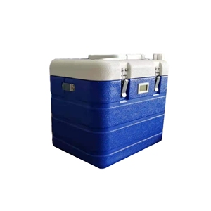 mini size 6L hard Plastic Camping insulated cold chain Boxes for outdoor ice cooler box bag with portable