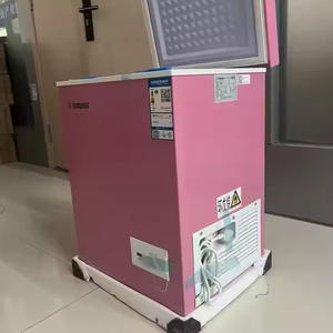 Y 60L Venta caliente Factory Outlet Chigo Pink <span class=keywords><strong>Frezeer</strong></span> - Product Image 1