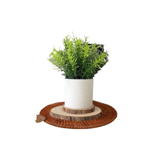 Plantes vertes artificielles Fuyuji, 18 cm, plastique, haute simulation, décorations de bureau - Product Image 5