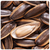 OEM ODM Collations aux noix à saveur de caramel Graines de tournesol chinois 218g