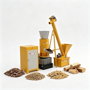 Granulateur à Vis Professionnel 15 kW pour Granulés de Bois, Capacité 300 kg/h, à Matrice Plate, <span class=keywords><strong>Prix</strong></span> Usine - Product Image 1