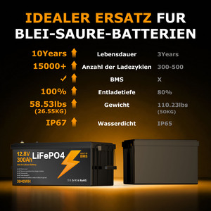 Batterie au lithium 12V 300Ah <span class=keywords><strong>pour</strong></span> entrepôt européen, durée de vie de plus de 15000 cycles à 60 % de décharge profonde, pack de batteries LiFePo4 étanche IP67 - Product Image 4