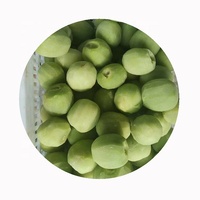 IQF Diepvries Kiwi Vruchtvlees Schijfjes Bulk Import Groen Fruit met Beste Prijzen Volledige Patroonkweek