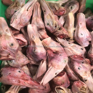 Cabezas de pato congeladas Halal Cabezas de pato congeladas orgánicas - Product Image 6