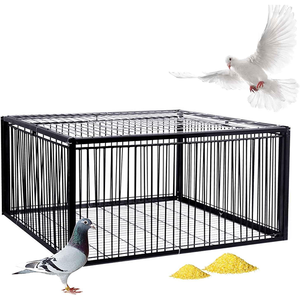 Piège à pigeons avec porte à trappe, cadre en fil métallique, entrée à sens unique, activités de pigeons voyageurs, portes empêchant le vol, <span class=keywords><strong>cage</strong></span> de piège de qualité supérieure - Product Image 1