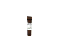 Kit ELISA pour l'ADN 5-hmC pour la quantification globale du 5-hmC et l'analyse de la méthylation de l'ADN à haut rendement