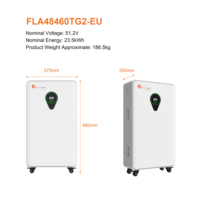 Batterie LiFePO4 Felicitysolar FLA48460TG2-EU 51,2V 460Ah 23,55 kWh pour stockage solaire domestique avec extincteur à aérosol