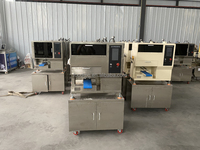 Machine à nouilles italienne pour restaurant avec moteur, en acier inoxydable 304, capacité de 40 kg/h, entièrement automatique pour la distribution de nouilles