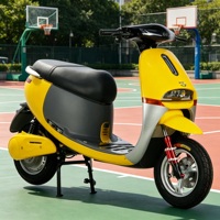 Skuter Listrik Dewasa Kustom 3000W Kecepatan Tinggi 72V Tegangan Tinggi 2000W 1500W Rem Cakram Hub Kuat Sepeda Listrik Balap