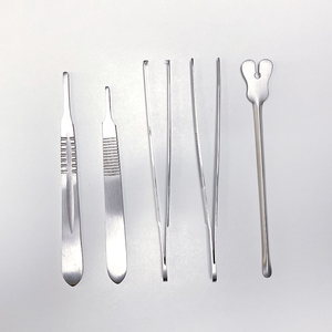 Hộp Thép Không Gỉ Autoclavable Bao Gồm 11 Dụng Cụ Kẹp Kéo Kẹp Đầu Dò Dao Mổ Cầm Tay - Product Image 6