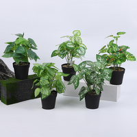 Plantes Artificielles en Gros de Haute Qualité, Écologiques, Toucher Naturel, Grandes Feuilles Vertes en Plastique pour Clôture