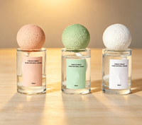 Bouteille diffuseur d'arômes en verre transparent vide de 80 ml avec bouchon roll-on personnalisable et couvercle en boue de diatomée pour parfum d'intérieur, vente en gros OEM