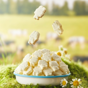 経済的な生乳粉末風味料 |   インスタントミルクティー乳製品 |   高コストパフォーマンス 0.5kg 純度99.99% HACCP/ISO認証済み - Product Image 5