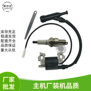 Transformateur haute tension GX160 200 196cc 212cc Kit d'allumage pour moteur à essence 168F170F 5.5 6.5HP Bobines Machines agricoles - Product Image 4