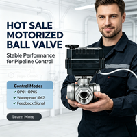 Vanne à boisseau sphérique motorisée électrique mini 3 voies Klion Factory DN10-DN50 12V/24V DC/AC220V en acier inoxydable, raccords en T et en L, pour eau, OEM