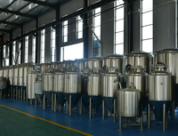 Équipement de brassage de bière de 300l, mini-brasserie artisanale, fermenteur à vendre