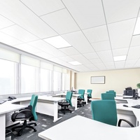 Decoración Interior Rockwool Techo acústico Panel impermeable Tablero ignífugo
