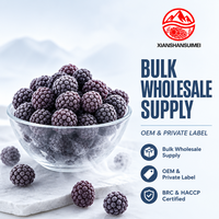 Gehele diepvrieszwarte bessen IQF ongezoet, natuurlijke kleur, fruit, 10kg doos voor jam, smoothie, catering