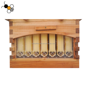 Tổ Ong tự động chảy <span class=keywords><strong>Bee</strong></span> phát ban Hộp kit cấp thực phẩm nghề nuôi ong với 7 cái mật ong chảy khung cho nghề nuôi ong - Product Image 5