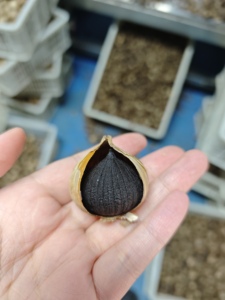 Rekabetçi fiyat siyah sarımsak fermente prim siyah yalnız sarımsak sağlık faydaları ile - Product Image 2