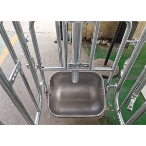 Équipement d'élevage porcin : <span class=keywords><strong>Cage</strong></span> d'élevage durable pour truies gestantes - Product Image 3