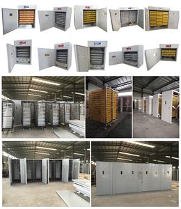 卵インキュベーター3000中国製 - Product Image 3