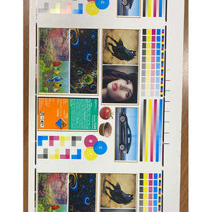 Industria de impresión flexográfica Máquina de fabricación de placas de resina flexográfica - Product Image 5