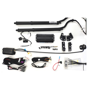 Phụ tùng nâng cửa hậu xe Chevrolet Captiva 2017+ - Product Image 3