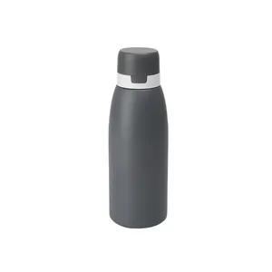 Lebensmittel qualität Doppelschicht-Edelstahl-Smart-Wasser flasche mit Filter und Ersatz patrone