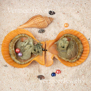 LOVE Wish ไข่มุกสำหรับปาร์ตี้บรรจุ4A 7-8มม. + คุณภาพไข่มุก2เม็ดหอยมุกสีแดงสด - Product Image 4