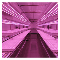 Serres agricoles Système hydroponique Conteneur Fermes verticales Agriculture Système hydroponique NFT pour laitue/Verts