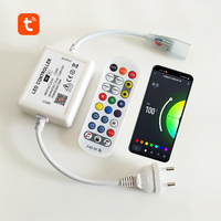 Accessoire d'éclairage LED AC110V AC220V, contrôleur LED RGB Wifi Tuya pour bandes LED RGB et néons RGB, télécommande 24/28 touches