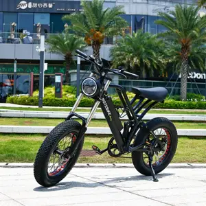 دراجة كهربائية تعمل بمحرك 48 فولت bmx و9 سرعات دراجة ذات إطارات كبيرة 750 وات 1000 وات دراجة كهربائية